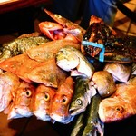 アクアパッツァの魚介を選ばせてもらえます