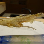 にい留 - 本シシャモ：初物