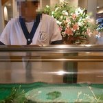 Sakura Sushi - 