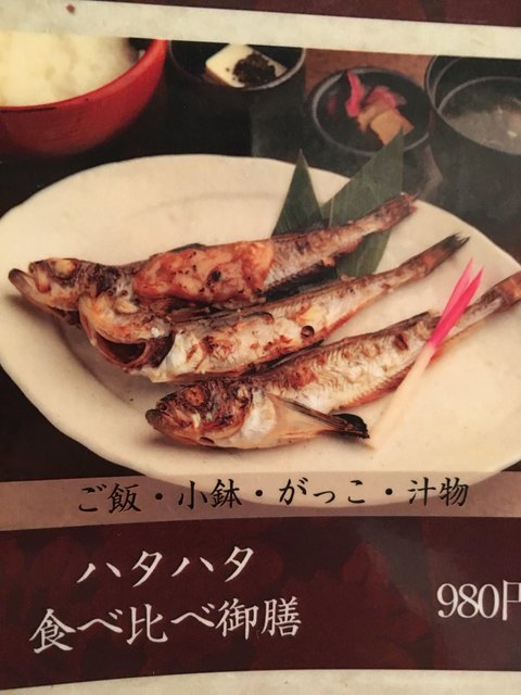銀座インズで秋田のハタハタ By Fujikazu101 ハタハタ屋敷 有楽町 郷土料理 その他 食べログ 銀座インズで秋田のハタハタ By Fujikazu101 ハタハタ屋敷 有楽町 郷土料理 その他 食べログ