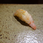 鮨匠 のむら - ナミクダヒゲエビ