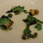 ヤマガタ サンダンデロ - 