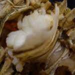 酒菜処 のさ庵 - 