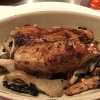 Benoit Alain Ducasse - 