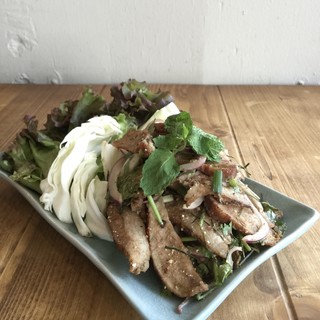 タイのごはん ラークパクチー_2