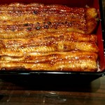 うなぎ 魚政 - 特上坂東太郎様