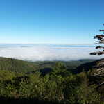 十勝岳温泉 湯元 凌雲閣 - 富良野盆地を覆い隠すように、見事な雲海が姿を現しました！
