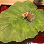 銀座 しのはら - 鮑 車海老と蓮の葉