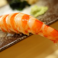 鮨 つきうだ - 