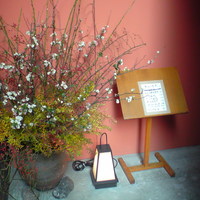 伊豆の旬 やんも 南青山店 - 