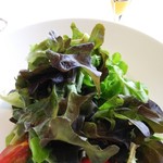 ホテルグランバッハ熱海クレッシェンド - グリーンサラダ