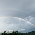 徳山鮓 - きれい！