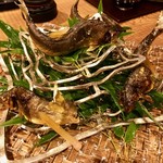 徳山鮓 - 香り高くて美味しい友釣りのあゆ