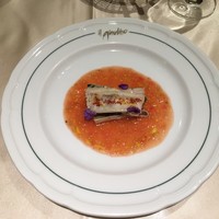イル・ジャルディーノ - 