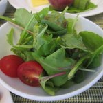 くつろぎの宿 てつ家 - [5日目朝食]サラダ
