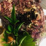 錦江湾 - この大きさ。