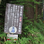 Shigeno Ya - 遊歩道入り口