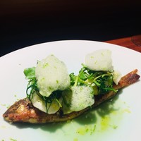 TACUBO - 