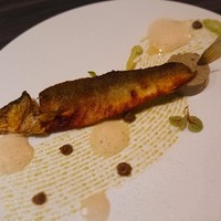 エマーブル - 鮎を丸々使った一品。
                しっぽの円形ムースも鮎の肝を使ったとか、、、。
                流れる川をイメージした盛り付けが素晴らしい(ﾟ∀ﾟ)！