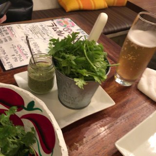 パクチーファン_0
