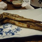 稲毛屋 - (8/23)幻魚（げんげ）の干物