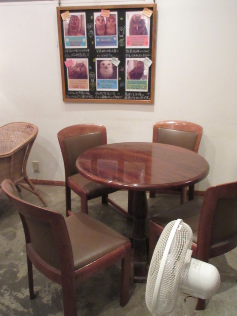 Cafe Hoothoot 神泉 カフェ 食べログ Cafe Hoothoot 神泉 カフェ 食べログ