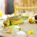 クレアバックス - 和歌山県の鮎、宮崎県の沢蟹 竹炭で包んだとうや芋、 ズワイガニのクロケット