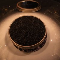 ガストロノミー ジョエル・ロブション - 