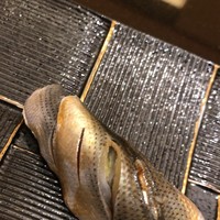 花暦 - 