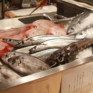 Fresh seasonal fish *Purchased daily from Toyosu Market♪