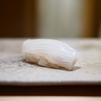 鮨 つぼみ - 墨烏賊