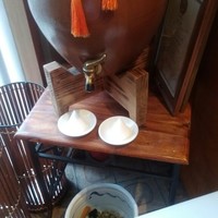 魚竹 - 