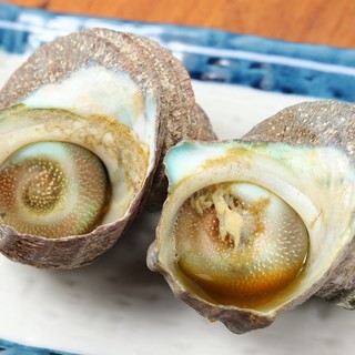 京橋 炉端焼 ロバ_1