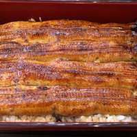 鰻 若松 - 