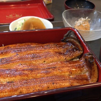 鰻 若松 - 