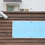 Cafe Mint Blue - 