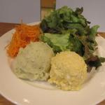 テーラ・テール - ポテトサラダ