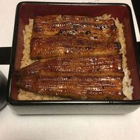鰻割烹 伊豆栄 本店 - 