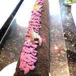 ビュッフェ＆カフェレストラン ナイト＆デイ - 