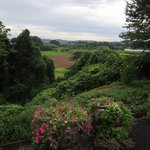 クローバーステーキハウス - のんびりとした田園風景が広がります！