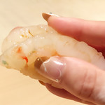 寿しの吉乃 - 増毛のボタン海老