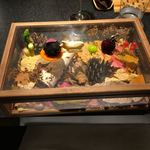 セララバアド - 