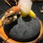 セララバアド - 