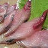 一本釣り - 料理写真:清水サバ