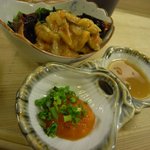 よってけふうちゃん - ホヤ