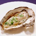 名前のないイタリア料理店 - 夏牡蠣パクチーコラトゥーラソース様