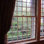 明治の館 - 雨の日の訪問でしたが、新緑に囲まれた店舗