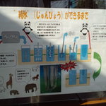 街の氷屋さん - 