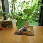 かくれ家 風 - カウンター上の木の葉