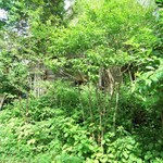 かくれ家 風 - お店の周り